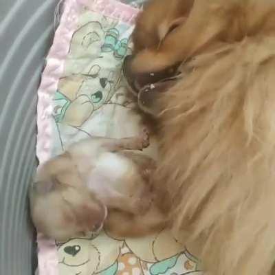 Welcome to the New World!!