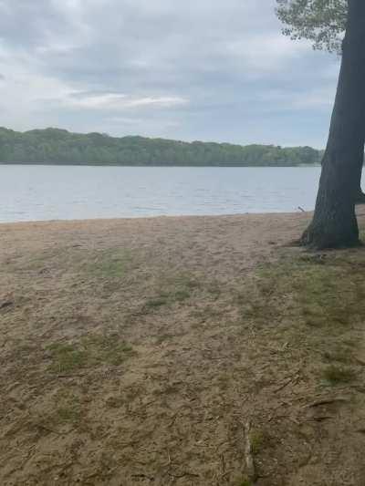 The Thought Of Getting Caught Definitely Heightened The Mood. A Little Fuckin Near The Lake.