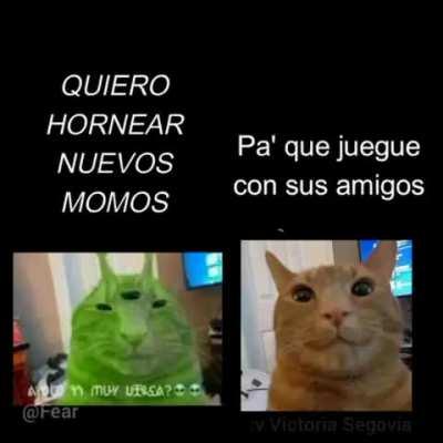 ¡LA GRASA ES UN SENTIMIENTO! 