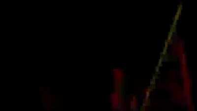 Persona 4 for the Gameboy Color has been officially released