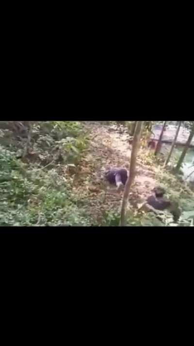 Knock out with the help of gravity