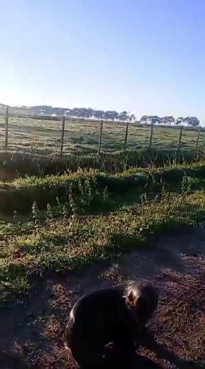 El GPS lo mando por otro lado