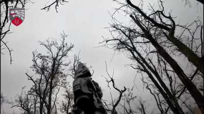 Ukrainian soldiers of the 3rd Special Purpose Regiment captured a Russian position. December 2024