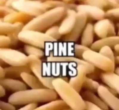 Hazel nuts come in first always.