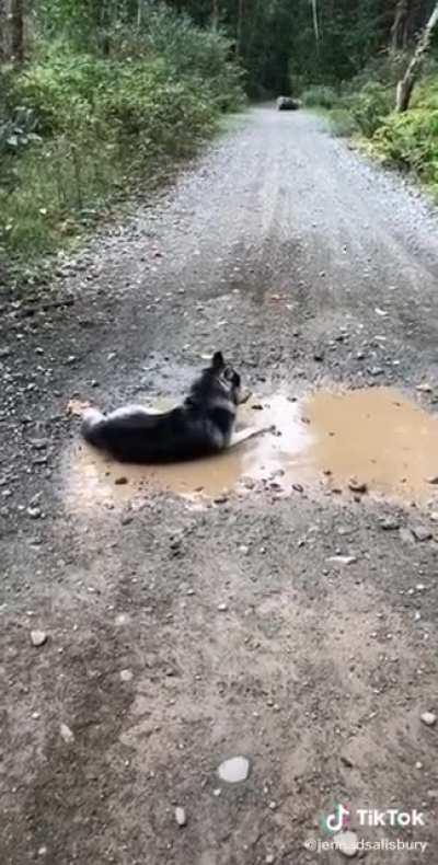 Hopefully this wasn’t posted before