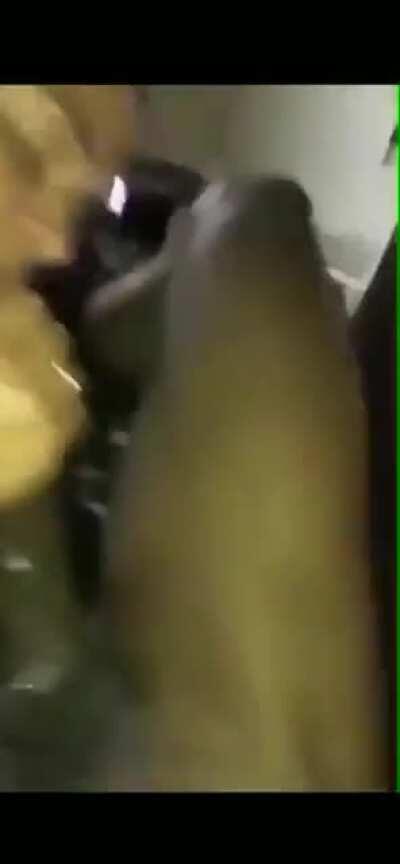 Who she wet and ready