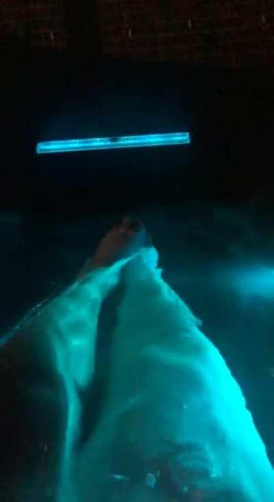 Spa nights are good for the sole