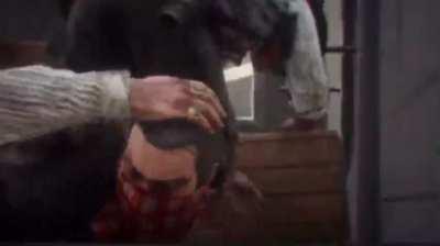 dutch brain injury simulator