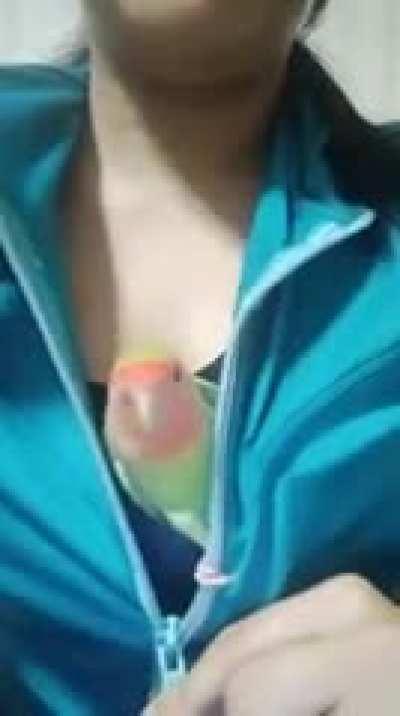 Chicks know what a guy really wants to see