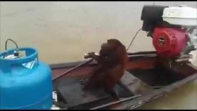 ɪ ᴅʀᴏᴘ ᴍʏ ᴅᴇᴍᴏɴs ᴏғғ, ᴄʟᴇᴀʀ ᴍʏ ᴍɪɴᴅ 🌊