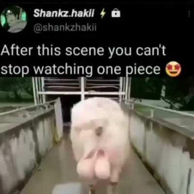 OnePieceCircleJerk - Video #1354