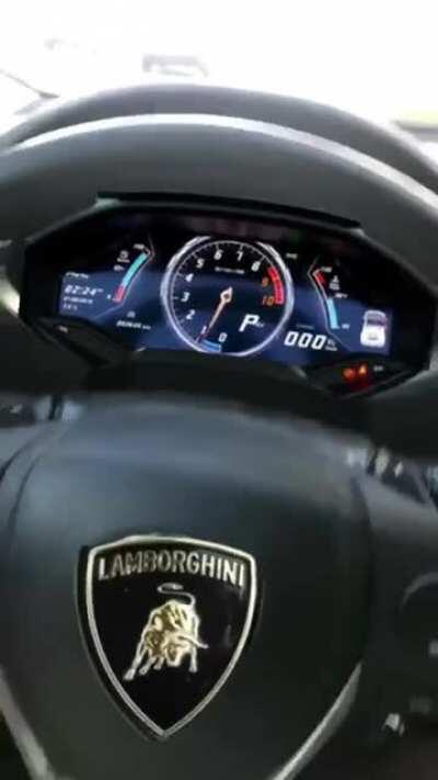 Got my Lambo. Next stop, the moon.