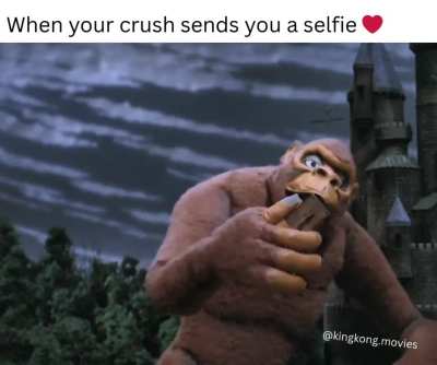 When your crush sends you a selfie ❤️