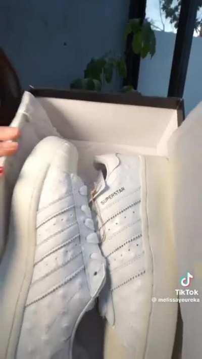 Melissa la perreadora robles 