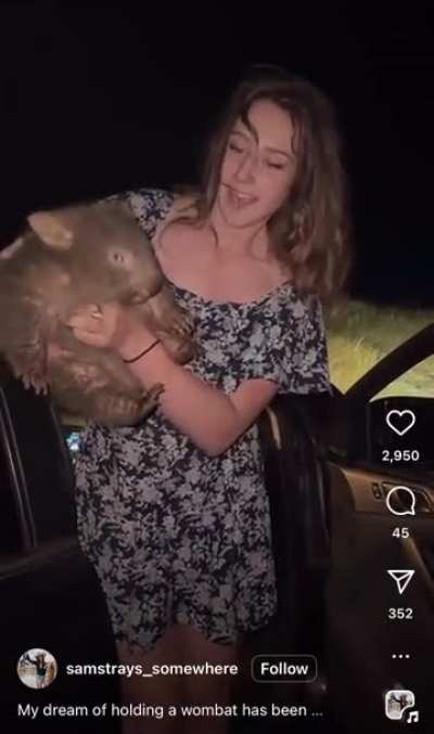 Hunting Influencers Distress Wombat Mum and Joey