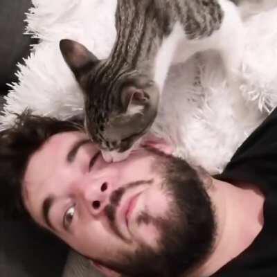 My cat (Kiko) did not apreciate me repaying the love he gave me