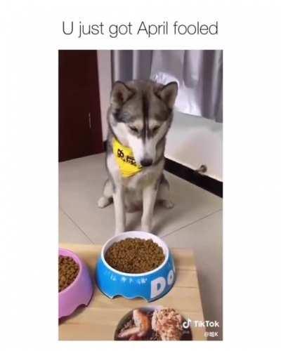 He looks heart broken