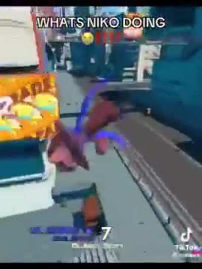 Niko 😼