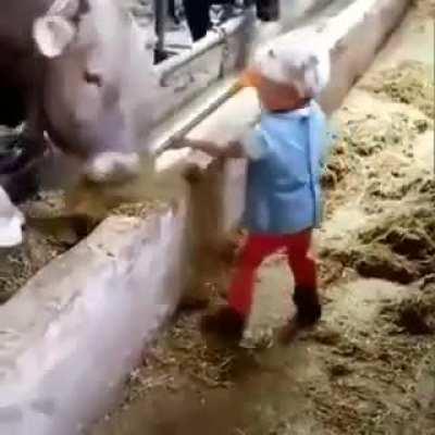 Delicious... eat it!