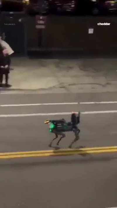 Denver parade spectators jeer and cringe when DPD parades its $328,000 robot.. model tested by the IOF against innocent civilians in illegally occupied Palestine on behalf of Boston Dynamics.