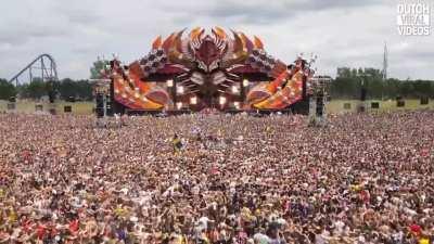 Active matter physics.