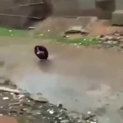 un juego tradicional de Venezuela <3