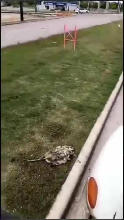 When a bad day keeps getting worse...