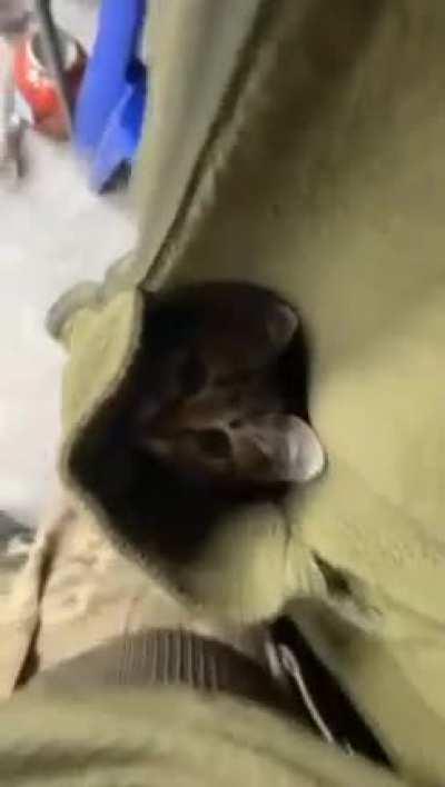 Ukrainian soldier reveals precious cargo