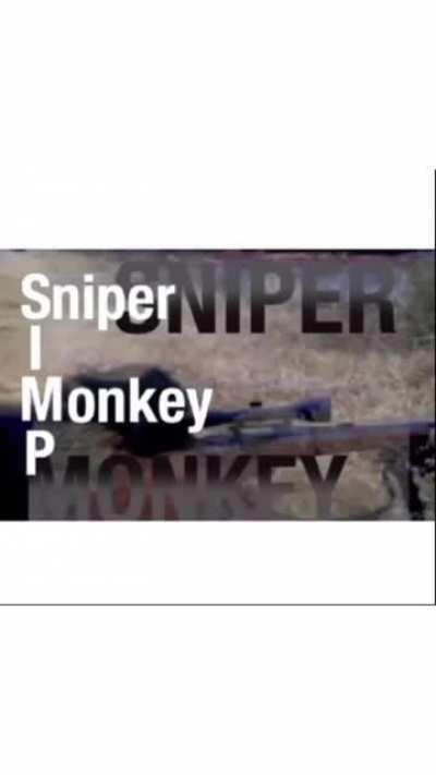 I’ve heard he has over 300 confirmed kills