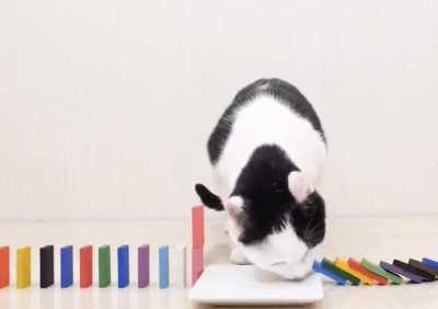 just tip over the dominoes