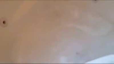 kids summoning portal to hell