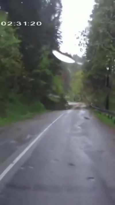 An Otherwise Peaceful Journey, Abruptly Descends Into Unimaginable Terror...