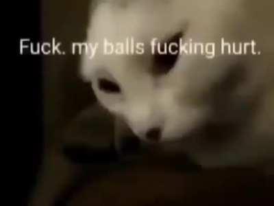 LOS PIBES LOS PIBES LOS PIBES LOS PIBES