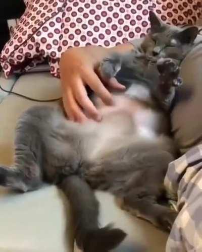 Belly rubs