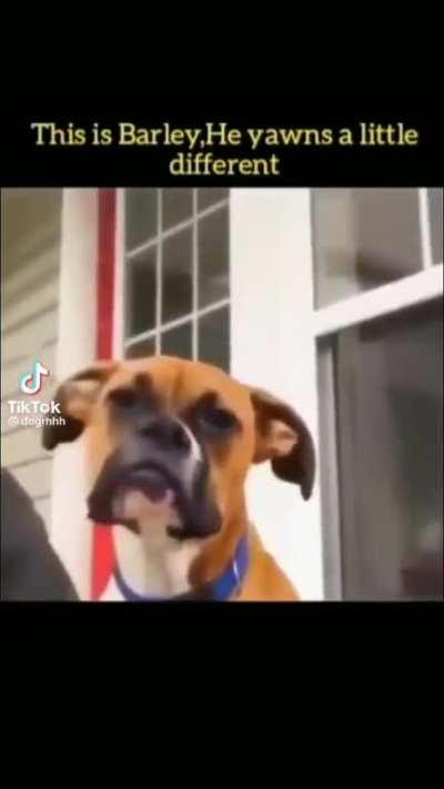 idk does this count?