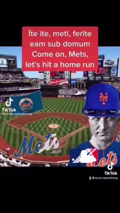 THE METS BABY ALL ABOUT THE METS