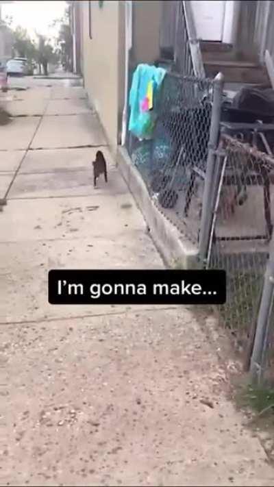 Немного музыки