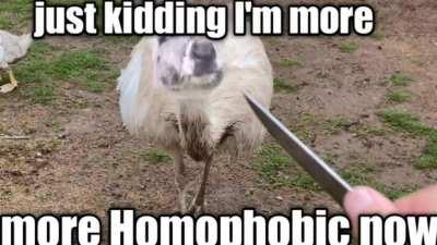 Dababys Homophobic Transformation (Some of the edits are by Kevin's wife)