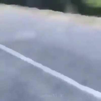 cheese puffs! 📮📮📮📮📮