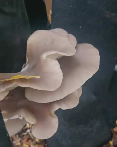 Im such a fun guy.. i have a kicky bag