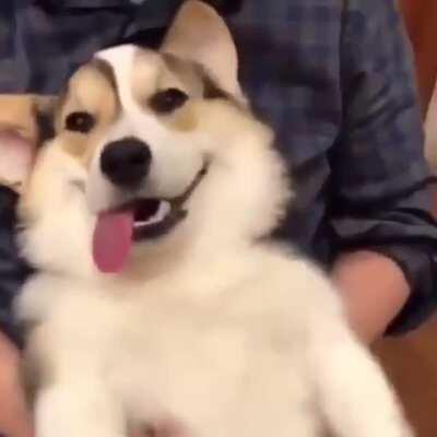 This floppy fellow here