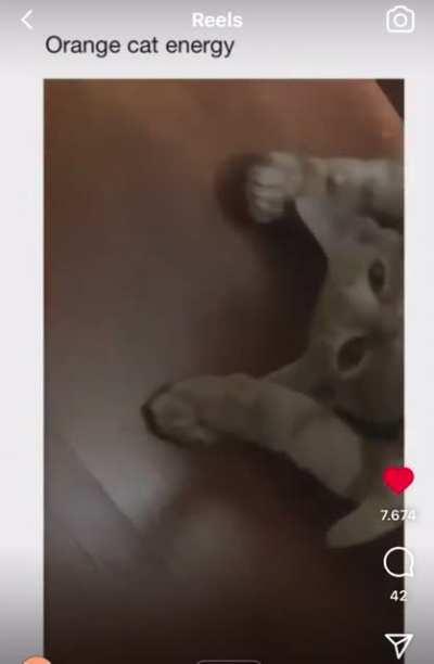 Poor boy still working his bread job while suspended