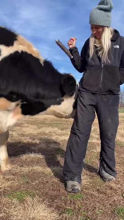 I didn't say you were done with brushing