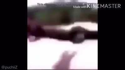 upvote para que orson regale 5 subs 😎👌