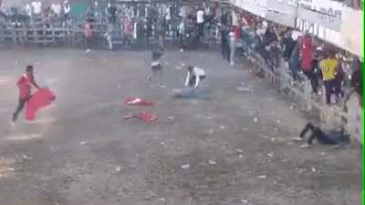 Yet another ‘death by bull’