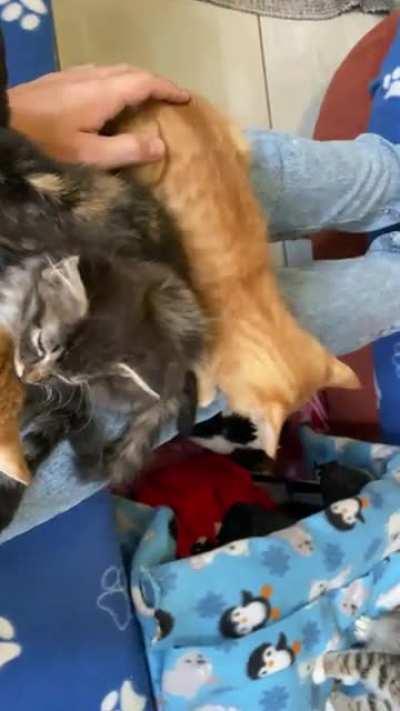 I have died, and gone to heaven.