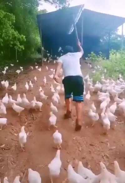 Ride now! Ride now! Ride! Ride for ruin...and the world's ending!