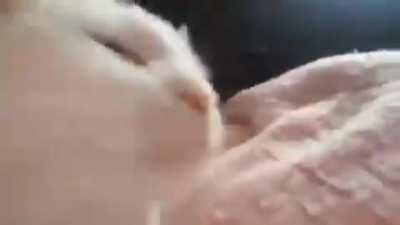 Славéне на Халовин у Струмица е ерес!