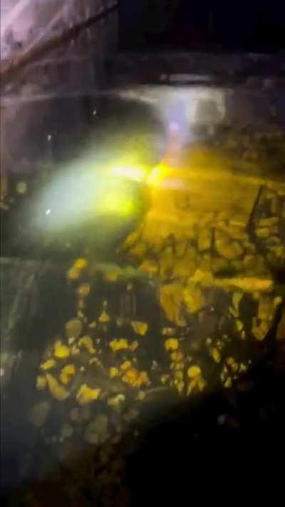 So much is going on in this video