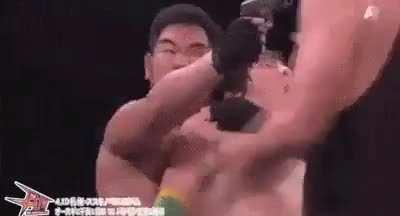 The ultimate wrestling move